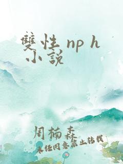 双性 np h 小说