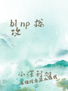 bl np 总攻