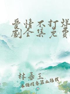 爱情不打烊电视剧全集免费观看