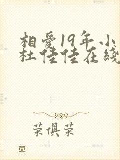 相爱19年小说杜佳佳在线阅读