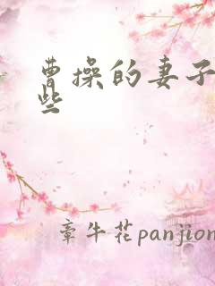 曹操的妻子有哪些