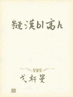 糙汉bl高h