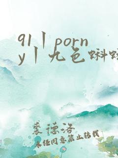 91丨porny丨九色蝌蚪