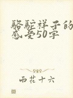骆驼祥子的读后感受50字 骆驼祥子的读后感受50字