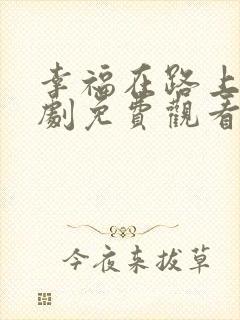 幸福在路上电视剧免费观看完整版