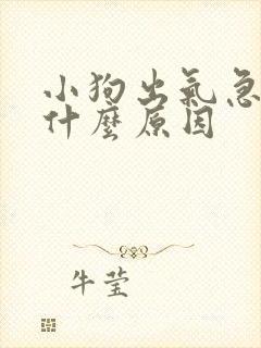 小狗出气急促是什么原因