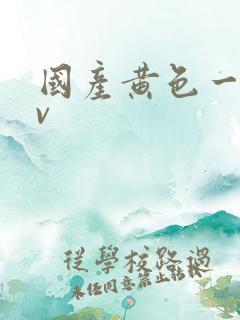 国产黄色一级av