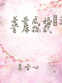 惹爱成婚·染指首席总裁