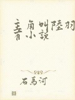 主角叫陆羽的所有小说