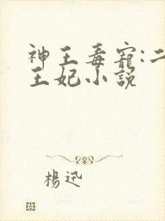 神王毒宠:二嫁王妃小说