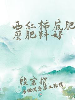 西红柿底肥用什么肥料好