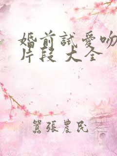婚前试爱吻戏床片段 大全
