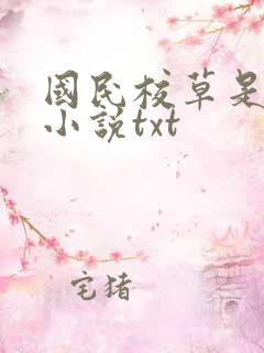 国民校草是女生小说txt