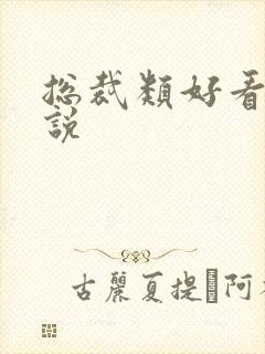 总裁类好看的小说