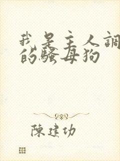 我是主人调教好的骚母狗