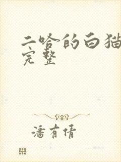 二哈的白猫师尊完整