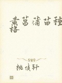 黄菖蒲苗种苗价格