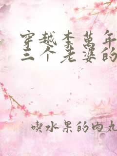 穿越李万年开局三个老婆的小说