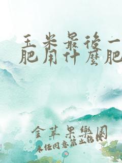 玉米最后一次施肥用什么肥好