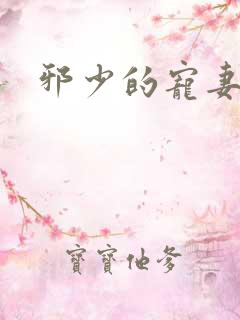 邪少的宠妻