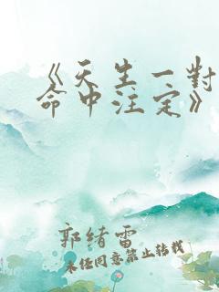 《天生一对2:命中注定》