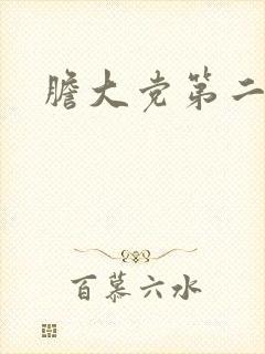 胆大党第二季5
