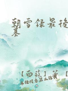 朝雪录最后谁登基