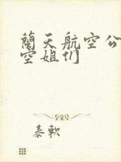 兰天航空公司的空姐们