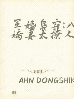 军婚枭宠:八零娇妻太撩人