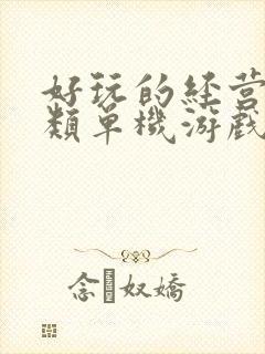 好玩的经营策略类单机游戏