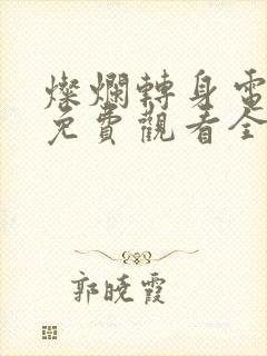 灿烂转身电视剧免费观看全集