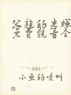 父亲的光辉短剧免费观看全集完整版高清