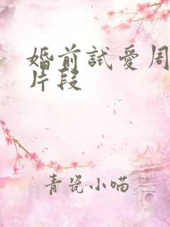 婚前试爱周秀娜片段