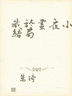 藏于昼夜小说大结局