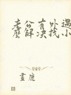 老公有外遇了怎么解决找小三