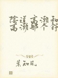 阴道高潮和阴蒂高潮那个舒服