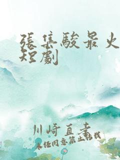张集骏最火十部短剧