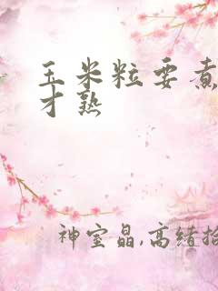 玉米粒要煮多久才熟