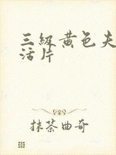 三级黄色夫妻生活片