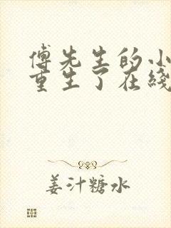 傅先生的小祖宗重生了在线阅读