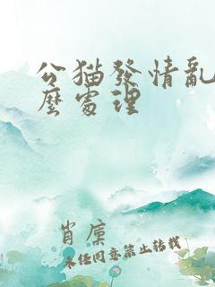 公猫发情乱尿怎么处理