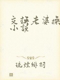 交换老婆操屁眼小说