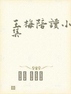 王梅陪读小说全集