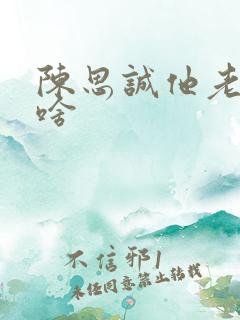 陈思诚他老婆叫啥