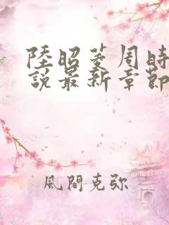 陆昭菱周时阅小说最新章节