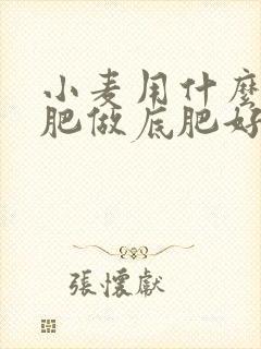 小麦用什么复合肥做底肥好