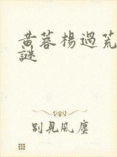 黄蓉杨过荒岛之谜