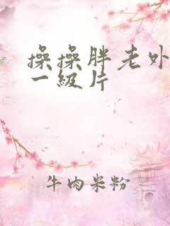 操操胖老外逼逼一级片