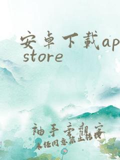 安卓下载app store