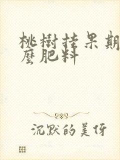 桃树挂果期施什么肥料